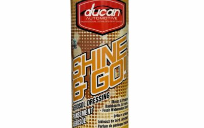 SHINE & GO! SCENTED AEROSOL DRESSING